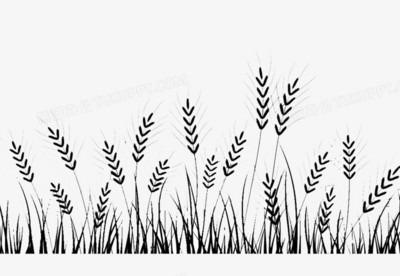 优质水稻PNG素材 免费下载与创意应用指南