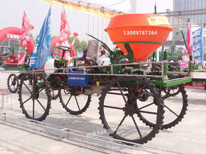 黑龙江稻谷图片供求信息平台