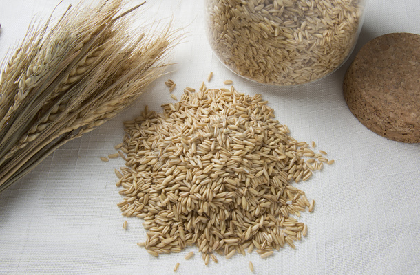 五谷杂粮之美 稻谷摄影图赏析